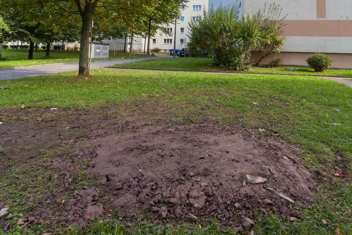 Nach der Entsorgung des gefundenen Sprengstoffes wurden die Löcher wieder
zugeschüttet.