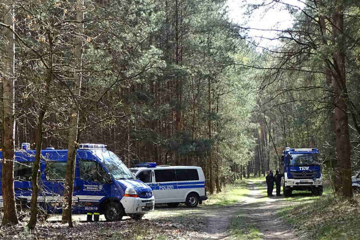 Einsatzfahrzeuge des THW und der Polizei stehen in einem Waldgebiet am Herzberger See.