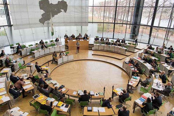 Im sächsischen Landtag arbeiten die Grünen in Umweltfragen mit der schwarz-roten Regierungskoalition zusammen.