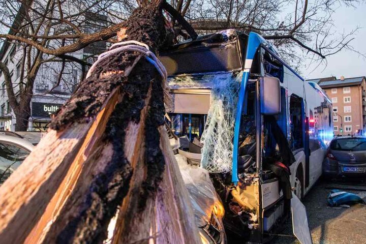 Nachdem der Bus gegen einen Range Rover fuhr, krachte er gegen einen Baum.