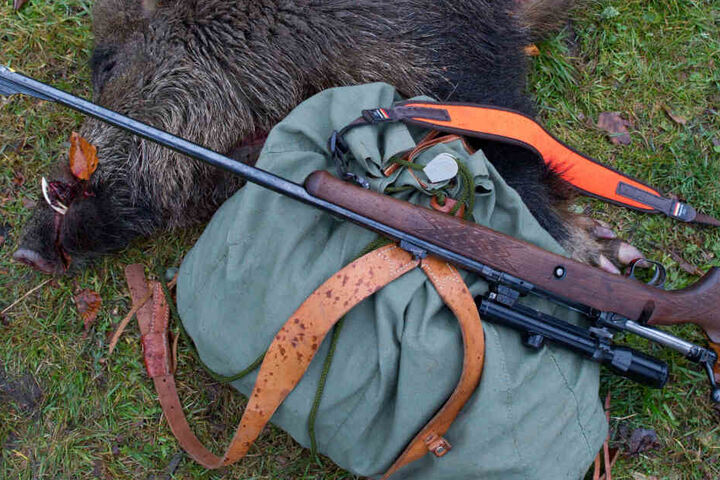 Ein nach einer Ansitz-Drückjagd geschossenes Wildschwein liegt neben einem Rucksack mit Gewehr.