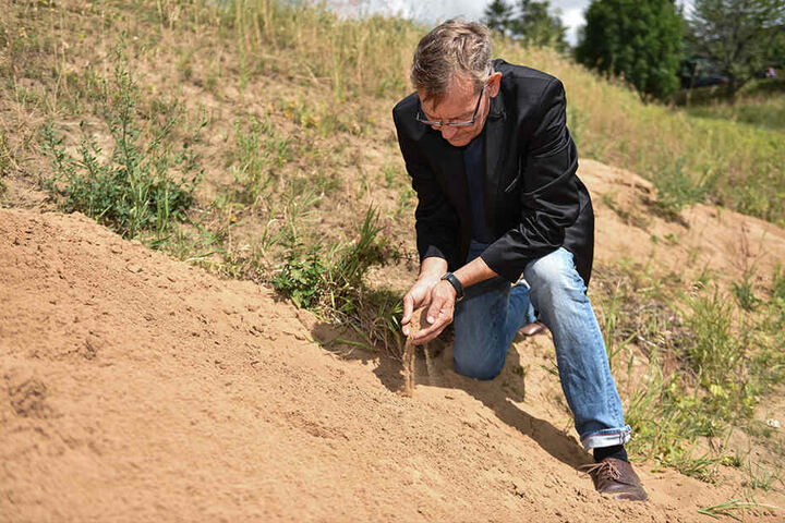 Die Folgen der Dürre sind deutlich sichtbar: Gewässer-Experte Harald Kroll (58) im ausgetrockneten Graupaer Bach in Pillnitz.