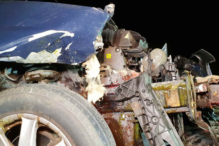 Einzelne Fellfetzen sind unter der Kühlerhaube des Autos zu finden.