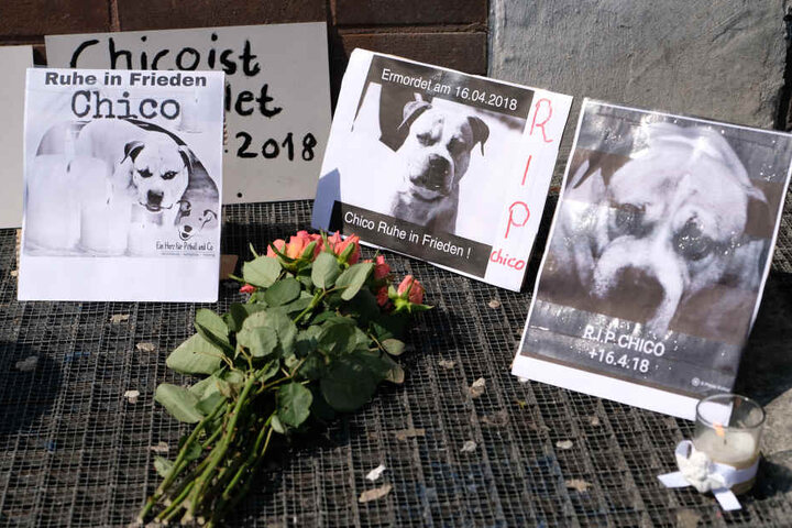 Am Sonntag hatte es in Hannover eine Mahnwache für den eingeschläferten Hund gegeben, der zwei Menschen tot gebissen hatte.