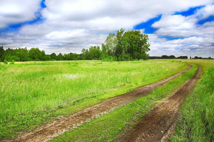 Spaziergänger entdeckten die Panzergranate am Feldweg. (Symbolbild)