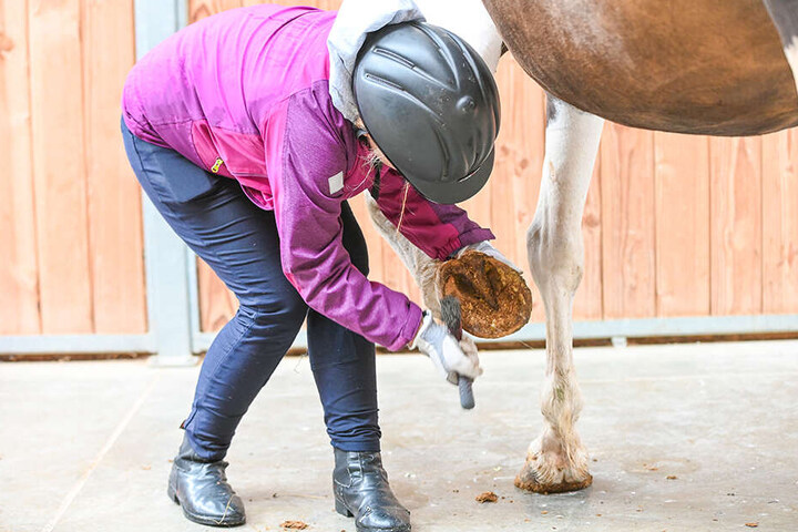 Das will gelernt sein: Wer reiten möchte, muss auch wissen, wie die Hufe gepflegt werden.