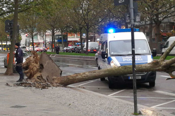 Durch das Orkantief "Xavier" wurde ein Baum am Ku'damm entwurzelt.