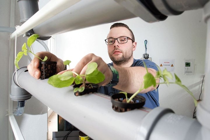 Eric Haubold (26) plant jetzt mit seinen Mitstreitern ein vierstöckiges Gewächshaus, welches nach dem Aquaponik-Prinzip funktioniert.
