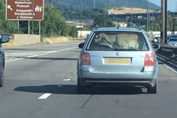 Wie hat er sie da nur hineinbekommen?