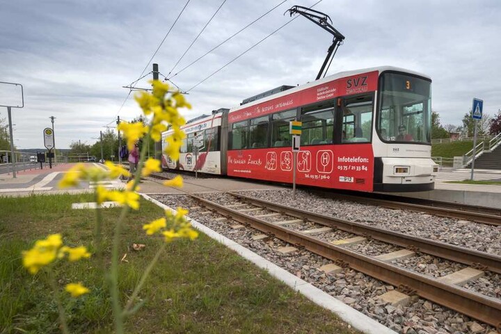 Streitpunkt Unkrautbekämpfung: soll das in Verruf geratene Glyphoast weiter in Zwickau eingesetzt werden, wie zum Beispiel zum freihalten des Gleisbereiches der Straßenbahn, oder nicht?