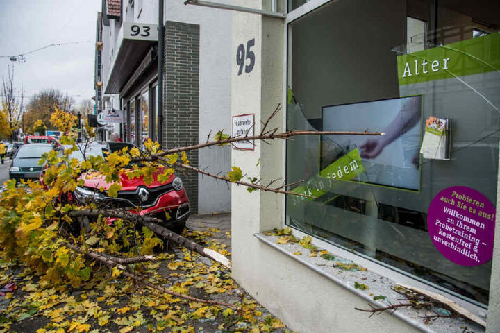 Der umgeknickte Baum stürzte in ein Schaufenster, auch ein gläsernes Vordach wurde zertrümmert.