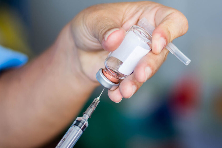Nach der Behandlung hatte die Stute einen anaphylaktischer Schock. (Symbolbild)