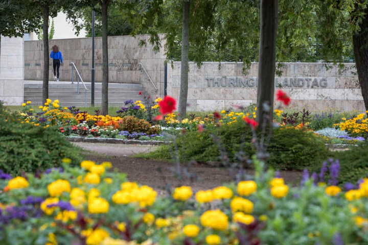 Der Park vor dem Thüringer Landtag ist ein möglicher Standort für den Gedenkort.