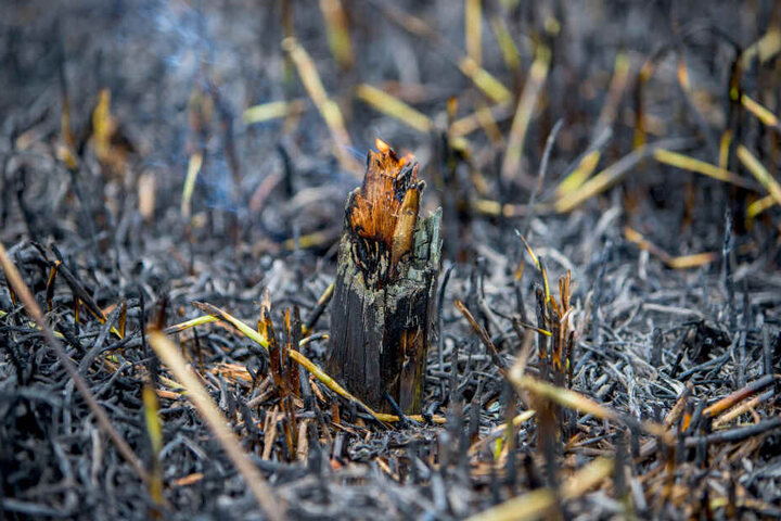 Wald- oder Flächenbrände müssen schnell erkannt und beseitigt werden, bevor die Flammen sich ausbreiten, in den Boden fressen oder Glutnester bilden.