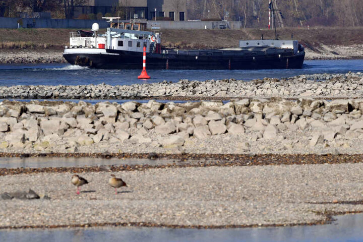 In Karlsruhe Maxau ragten durch das Niedrigwasser im November noch Sandbänke aus dem Wasser.