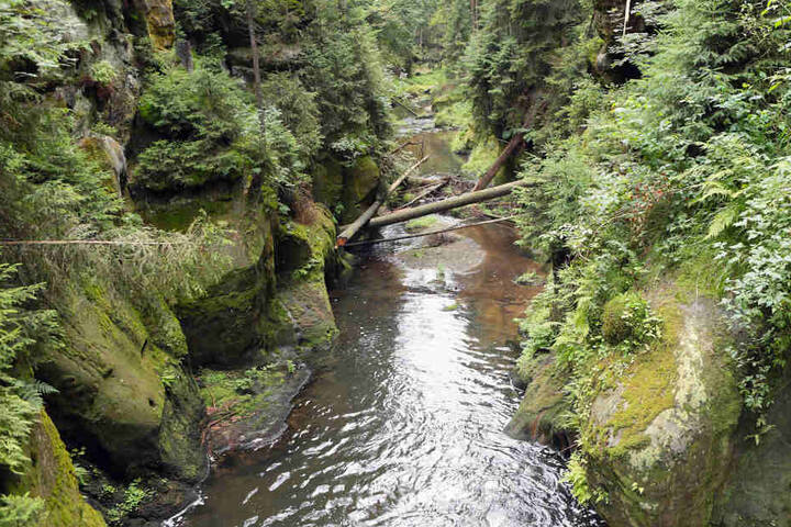 Lag die Brechattacke am Kirnitzschwasser?