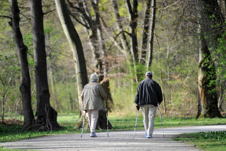 Zwei ältere Menschen gehen in München auf einem Weg im Englischen Garten mit ihren Nordic Walking-Stöcken.
