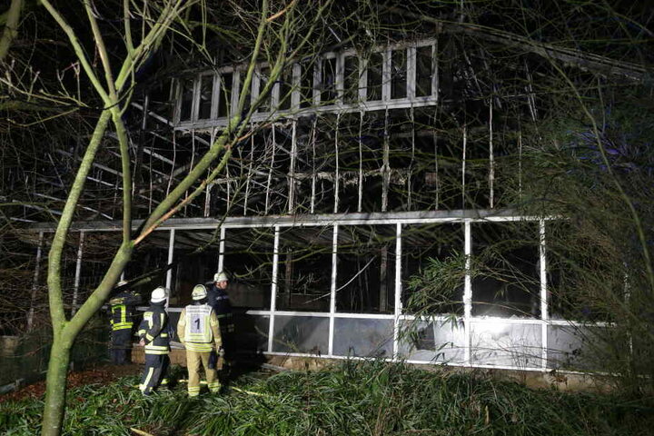 Die Fenster im Affenhaus des Krefelder Zoo wurden zerstört. Alle Tiere im Affenhaus starben.