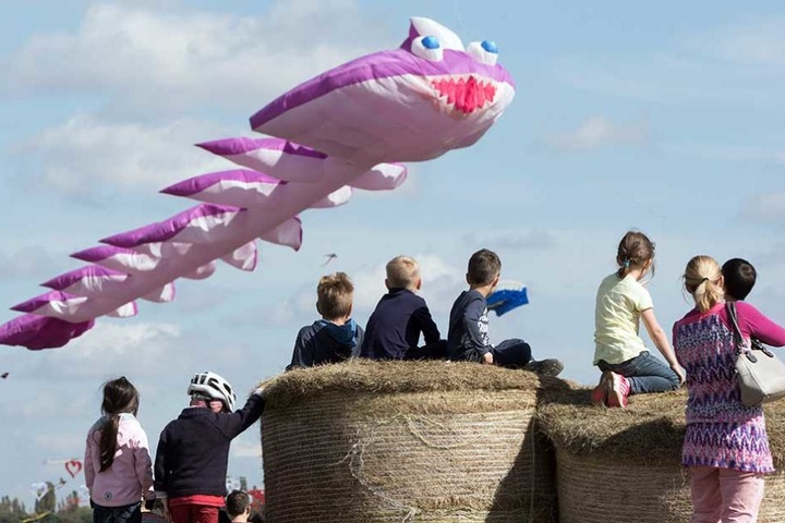Ein Luftungetüm beim 6. Festival der Riesendrachen.