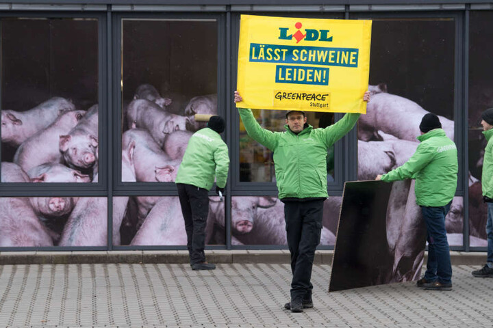 Neben Lidl kritisiert Greenpeace auch die Branchen-Initiative Tierwohl.