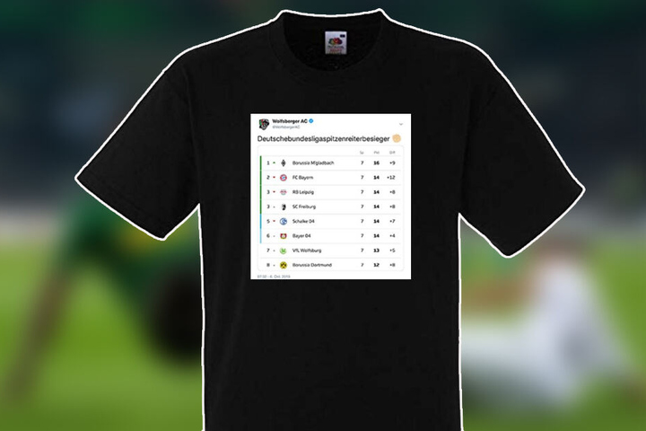 Das "Deutschebundesligaspitzenreiterbesieger" T-Shirt.