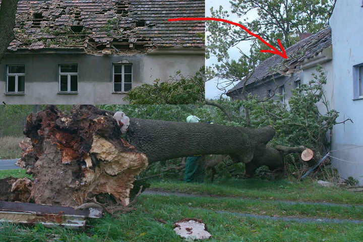 Sturmtief Xavier hinterlässt auch in
der Oberlausitz Spuren. In Brauna bei Kamenz fiel ein Baum in ein Dach. Der 20
Meter lange Baum beschädigte dabei den Dachstuhl erheblich.