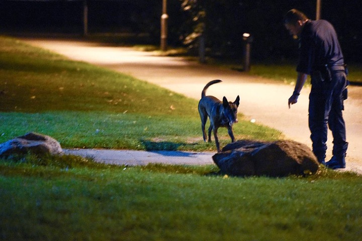 Mit einem Spürhund sucht die Polizei die Umgebung des Tatortes ab.