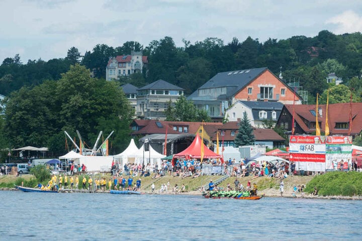 Auf der Elbe paddelten die Mannschaften beim Drachenboot-Rennen um die Wette.