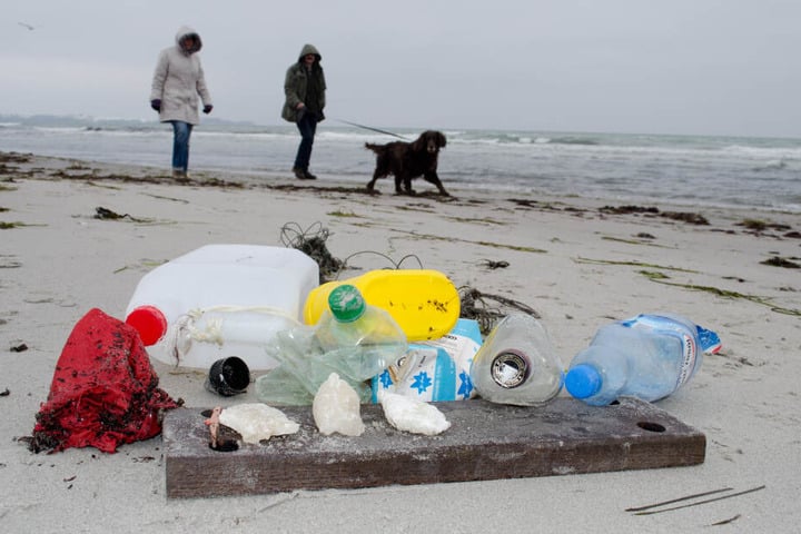 Am Ostseestrand zwischen Juliusruh und Glowe auf der Insel Rügen liegt am Strand gesammelter Müll.