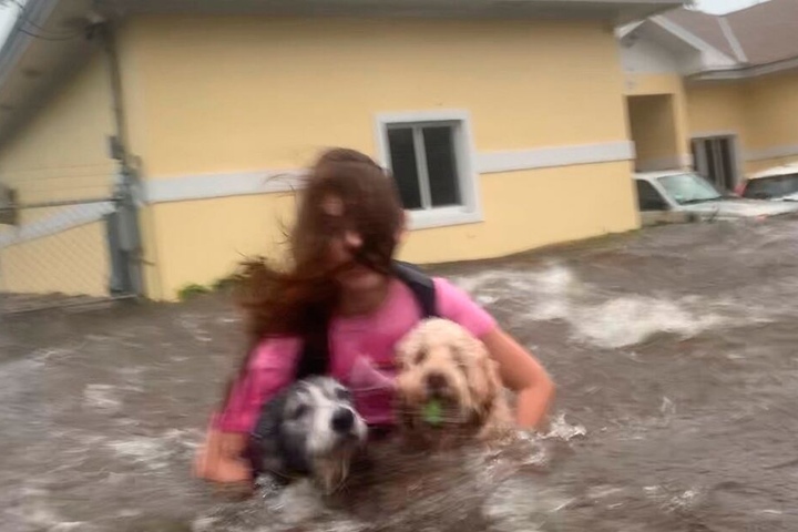 Eine Frau watet mit ihren Hunden durch hüfthohes Wasser auf einer überfluteten Straße.