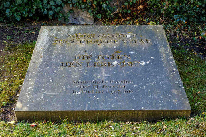 Auf dem Dresdner Trinitatisfriedhof werden die Körperspender anonym beigesetzt. Einmal im Jahr gibt es eine Trauerfeier für die Angehörigen.