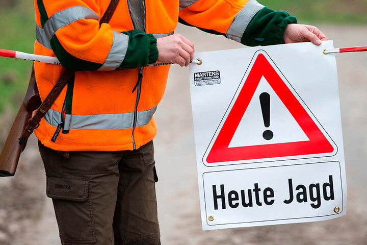 "Heute Jagd": Vor einer Drückjagd befestigt ein Helfer das Warnschild an einem Waldweg.