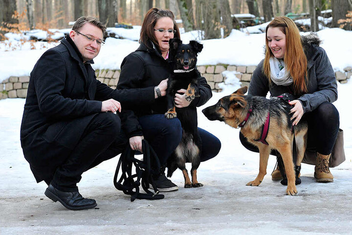 Ricco und Martina Stusche sind mit ihrer Hündin Komma und Beatrice Lange mit Hope im Zeisigwald unterwegs.