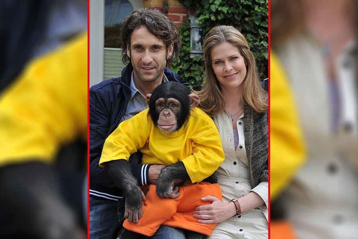 Falk-Willy Wild spielte u.a. mit Ursula Buschhorn und dem Affen Charly in der ZDF-Serie "Unser Charly" mit.