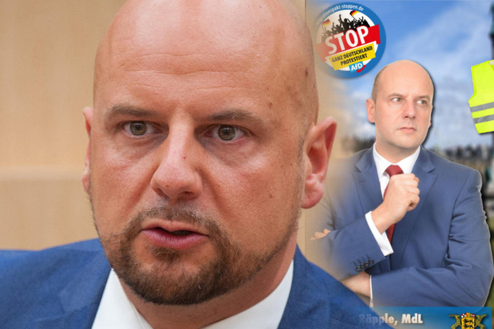 AfD-Landtagsabgeordneter rief am vergangenen Samstag zur Gelbwesten-Demo in Stuttgart auf. (Fotomontage)