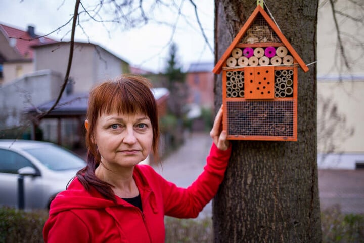 Uta Strenger (52) aus Eilenburg hat nicht nur ein Insekten-Hotel im Garten, sondern auch eine Petition zur Rettung der Bienen gestartet.