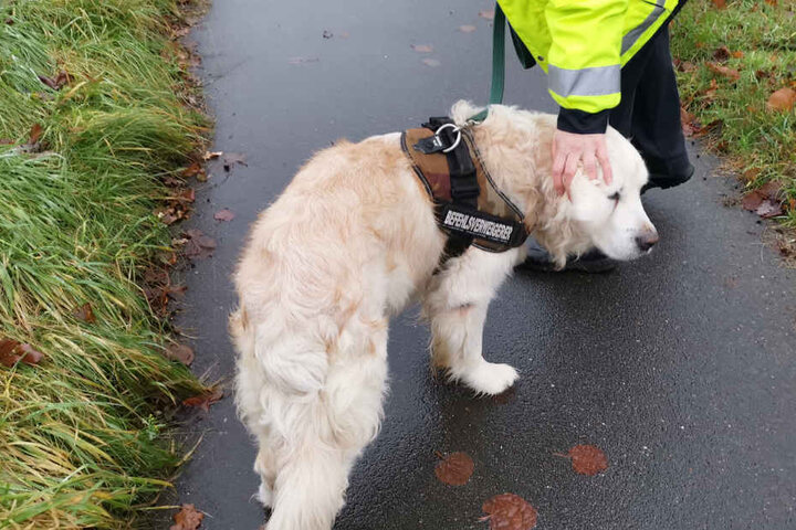 Der Hund konnte mit leichten Verletzungen aus dem Auto befreit werden.