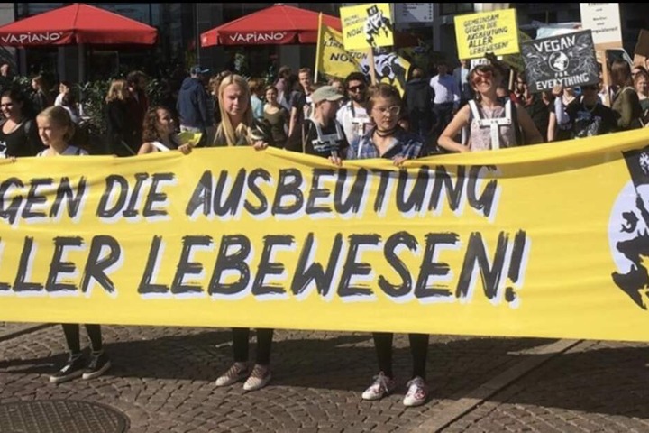 Unter anderem für den Tierschutz wird demonstriert.