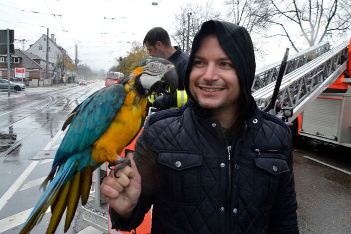 Erwischt! Paco zurück bei seinem Tierpfleger Alessio Fochesato.