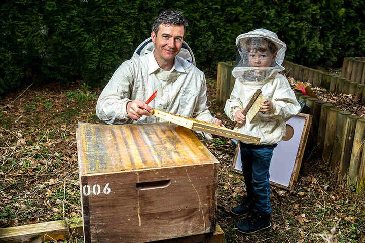 Imker und Bienenzüchter Rico Heinzig (41) schaut mit seinem Sohn Eric (4)
nach, wie die Bienen in seinem Hotelhof den Winter überstanden haben.