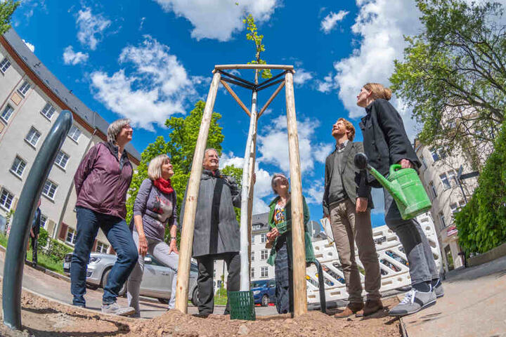 Hoch das Bäumchen: Henriette Schneidewind (45, v.r.), Baubürgermeister Michael Stötzer (46, Grüne) und weitere Bürger feierten die Pflanzung von neun Linden auf dem Kaßberg.