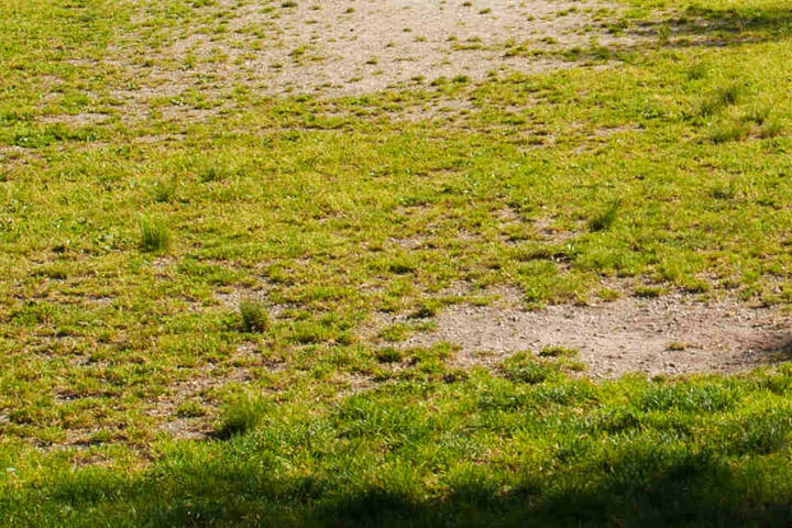 Ein schlechter Rasen ist nicht nur sportlich gesehen eine echte Qual, er stellt tatsächlich auch ein Gefahr für die Gesundheit der Spieler dar! (Symbolbild)