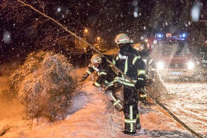 Mehrere Bäume stürzen unter der Schneelast zusammen, wie hier in Hirschberg bei Olbernhau.