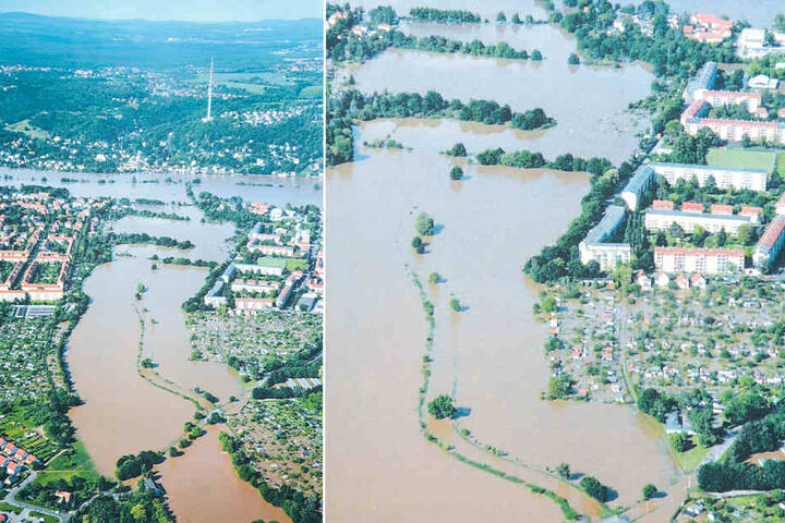 Das Hochwasser 2013 hat viele Kleingärten am Altelbarm überflutet.