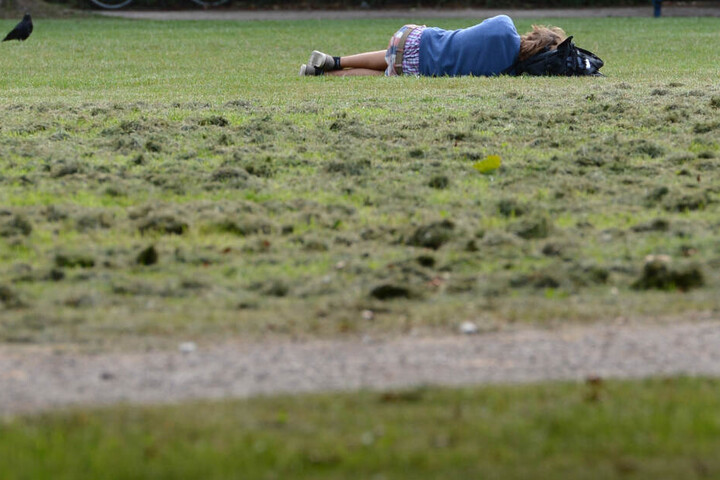 In Freising legte sich der mann völlig betrunken auf eine Wiese, nachte er zuvor durch die Stadt getorkelt war. (Symbolbild)