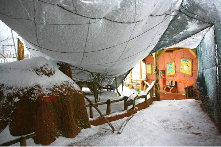 Die Schneemassen drückten die gespannten Vogelnetze nach unten, Stützpfähle knickten um wie Streichhölzer.