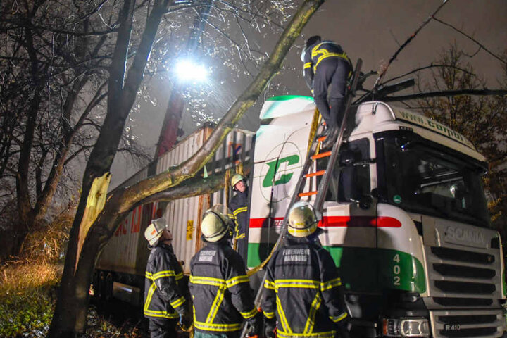 Die Feuerwehr hatte mit dem umgestürzten Baum auf einen Lastwagen alle Hände voll zu tun.