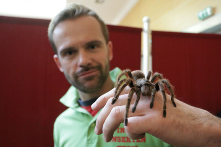 Wer mutig genug ist, kann die Spinnen sogar auf der Hand krabbeln lassen.