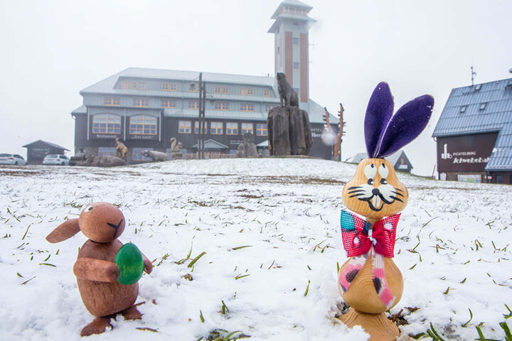 Bei Schnee und Temperaturen um den Gefrierpunkt muss sich der Osterhase im Erzgebirge warm anziehen.