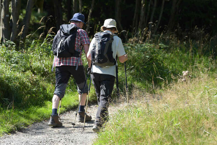 Eine Gruppe Wanderer war auf den gefährlichen Fund gestoßen. (Symbolbild)